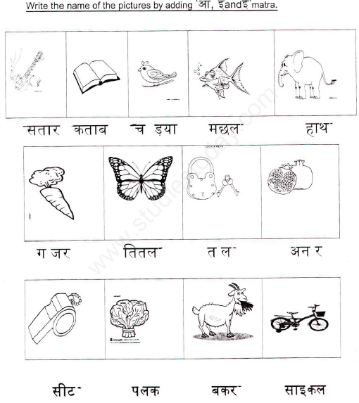 hindi assignment for class 1